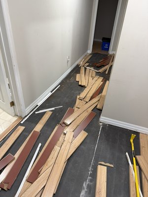 Professional flooring services including hardwood, laminate, vinyl, and parquet installation — clean, precise, and built to last. - Professional flooring services including hardwood, laminate, vinyl, and parquet installation — clean, precise, and built to last.