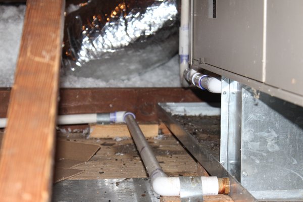 Getting Rid of Rats in The Attic - This is a Rat exclusion job we did recently Getting Rid of Rats in The Attic - This is a Rat exclusion job we did recently