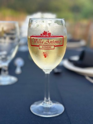 Weddings and Private Parties and Events - Our family loves celebrating with yours! People come to the Villa to celebrate all of life's most special occasions. Weddings, Showers, Anniversaries, and Milestone Birthdays become extra memorable when you spend them at Villa Antonio Winery. With indoor and outdoor venues on site, we can host intimate gatherings to full service weddings and receptions up to 300 people.