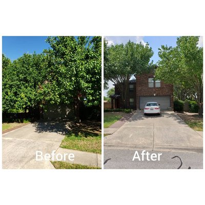Professional tree trimming services. - We provide several different tree service options to fit your needs. Professional tree trimming services. - We provide several different tree service options to fit your needs.