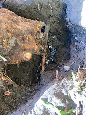 emergency water service excavation - Extremely difficult access to reach broken waterline under tree stump and gas line.. we worked very carefully to expose issue. we hot the job done emergency water service excavation - Extremely difficult access to reach broken waterline under tree stump and gas line.. we worked very carefully to expose issue. we hot the job done