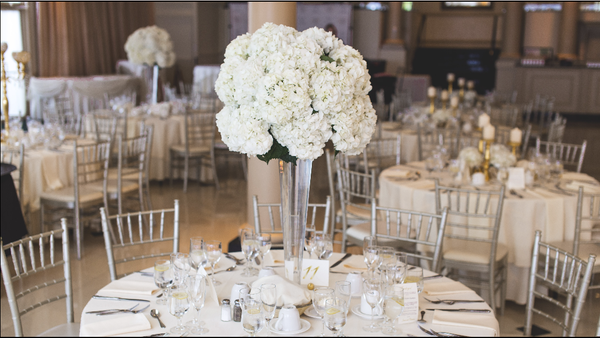 Make Your Event Memorable - Welcome to Petals Events & Decor!
By working with us, we ensure that your event is memorable. We have teams located across Bay Area, Tri-valley, Napa, etc. In Petals, we offer end-to-end guidance and Touring of your Event Journey which converts your Dream into reality.
Our slogan is Client satisfaction and our rule is Client centricity. Our flexible approach to design adjustment ensures that each design has a personalized touch.
What We Offer
Complete end-to-end guidance from planning to setting up your design
Access to exclusive services such as venue selection, catering, DJ music, etc
Real time consultation ensuring that each part of the design is perfect.
We do Weddings, Engagements, Birthdays, Baby Showers, or any special occasion that deserves a celebration.
Call Now or Visit Our Website. Free Virtual Consultations! Make Your Event Memorable - Welcome to Petals Events & Decor!
By working with us, we ensure that your event is memorable. We have teams located across Bay Area, Tri-valley, Napa, etc. In Petals, we offer end-to-end guidance and Touring of your Event Journey which converts your Dream into reality.
Our slogan is Client satisfaction and our rule is Client centricity. Our flexible approach to design adjustment ensures that each design has a personalized touch.
What We Offer
Complete end-to-end guidance from planning to setting up your design
Access to exclusive services such as venue selection, catering, DJ music, etc
Real time consultation ensuring that each part of the design is perfect.
We do Weddings, Engagements, Birthdays, Baby Showers, or any special occasion that deserves a celebration.
Call Now or Visit Our Website. Free Virtual Consultations!
