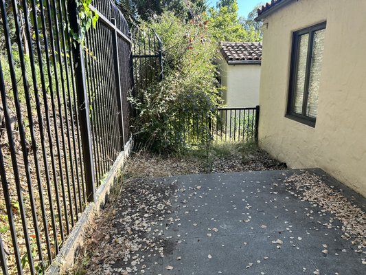 Small backyard cleanup - We clean a small backyard in Berkeley, Ca. Small backyard cleanup - We clean a small backyard in Berkeley, Ca.