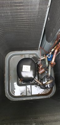 Goodman preventative maintenance. - vacuum out the base of this old R-22 Goodman condenser unit. preventative maintenance 2025