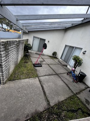 Clean up - A clean up remove weeds and trim trees Clean up - A clean up remove weeds and trim trees