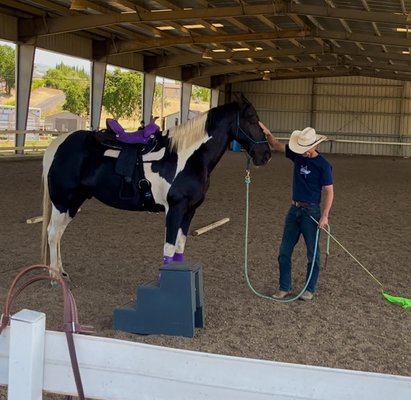 Getting Otto Trail Ready & Safe for his owner - I’ve been working with Otto and his owner on ongoing Sunday training sessions, utilizing natural horsemanship techniques. These sessions are designed to strengthen the bond between them and enhance trust, resulting in a safer and more confident horse. Through consistent work, we focus on improving communication, softness, and mutual understanding, helping Otto become more responsive and relaxed in his interactions. Getting Otto Trail Ready & Safe for his owner - I’ve been working with Otto and his owner on ongoing Sunday training sessions, utilizing natural horsemanship techniques. These sessions are designed to strengthen the bond between them and enhance trust, resulting in a safer and more confident horse. Through consistent work, we focus on improving communication, softness, and mutual understanding, helping Otto become more responsive and relaxed in his interactions.