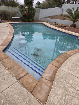 Last company didn't show up. - Got a call from a customer that last company wasn't taking care of the pool. Last company didn't show up. - Got a call from a customer that last company wasn't taking care of the pool.