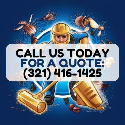 2022 May: #rodentroofrepair by #wedgewoodpestcontrol in #orlandofl - Wedgewood Pest Control expertly repaired a rodent-damaged roof in Orlando, FL. 2022 May: #rodentroofrepair by #wedgewoodpestcontrol in #orlandofl - Wedgewood Pest Control expertly repaired a rodent-damaged roof in Orlando, FL.