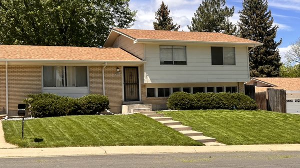 Kentucky Bluegrass - Imagine a lush, emerald green lawn where every blade of grass is trimmed with precision and care. The verdant carpet stretches invitingly, punctuated by delicate flower beds and artfully placed borders. Sunlight dances across the meticulously maintained surface, reflecting a level of quality, integrity, and attention to detail that transforms an ordinary yard into a serene outdoor haven.