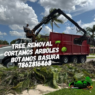Total land clearing with junk removal. - Franco Brothers LLC.
We provide a full range of services to help you get your property in top shape. Our specialties include:
	•	Tree removal
	•	Garbage and junk removal
	•	Demolition
	•	Bobcat and excavation work
	•	Fencing installation and repair

Let us help you bring your project to life. For a prompt response, please text (786) 281-6468.