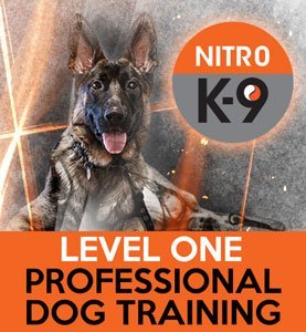 Nitro Pet Training - Nitro K9 offers obedience training for large dogs and mini heroes with various pricing packages for hands-on and hands-off training. They also offer a board and train program for up to six weeks and personal protection training. In addition, they provide dog walking services with rates starting at $20 for a 20-minute walk. All packages include lifetime phone and email support, but a behavior assessment fee of $100 applies. Travel fees are determined on a case-by-case basis.