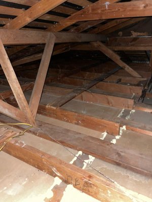 Attic Cleaning/Air Sealing/ Rodent Proofing - At first the attic is cleaned via specialized vacuum cleaner and then the crew starts air sealing the attic, sanitized and also rodent proofing to avoid rodent's entrance.