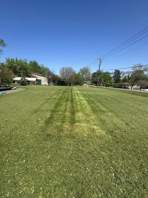 Lawncare - Give us a call today for your free estimates!