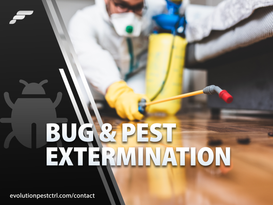 Bugs, Pests & Rodent Extermination Services - Discover top-notch bug inspection and treatment services. Our expert team uses cutting-edge technology to identify and eradicate unwelcome bed and house bugs, restoring comfort and peace in your home. Say farewell to bed bug nightmares with our proven solutions! Bugs, Pests & Rodent Extermination Services - Discover top-notch bug inspection and treatment services. Our expert team uses cutting-edge technology to identify and eradicate unwelcome bed and house bugs, restoring comfort and peace in your home. Say farewell to bed bug nightmares with our proven solutions!