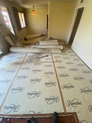 Carpet removal - The customer asked us to remove the old carpet that the previous tenants had left. As a team we removed the old carpet and padding and left it ready for new carpet to be reinstalled. Carpet removal - The customer asked us to remove the old carpet that the previous tenants had left. As a team we removed the old carpet and padding and left it ready for new carpet to be reinstalled.