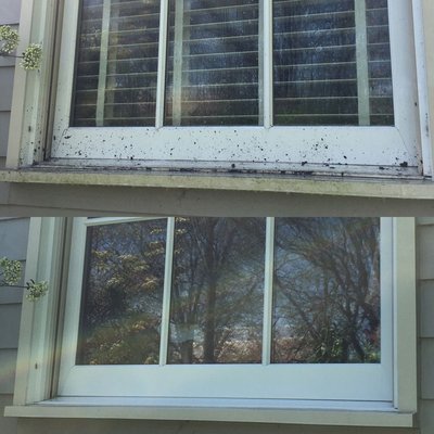 House Exterior Power Wash – Mold & Dirt Removal - Thorough exterior cleaning to remove mildew and grime — siding looks refreshed and spotless!