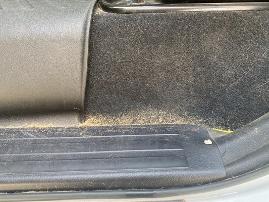 Toyota Tundra dog hair removal! - This a the pet hair removal part of the Silver combo package!
