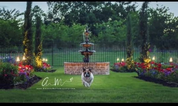 Landscaping Work, Landscape Design, Garden Design, Redesign, Install, - Secret Gardens has been in business since 1995 and has over 25 years in design, installation, and Irrigation, we are a personable company that wants your business please call today for your free consultation. Here are some examples of our work! We offer a variety of services from design to, installation. We can do any type of design you like, from formal, Asian, Victorian, traditional even a water feature. Landscaping Work, Landscape Design, Garden Design, Redesign, Install, - Secret Gardens has been in business since 1995 and has over 25 years in design, installation, and Irrigation, we are a personable company that wants your business please call today for your free consultation. Here are some examples of our work! We offer a variety of services from design to, installation. We can do any type of design you like, from formal, Asian, Victorian, traditional even a water feature.