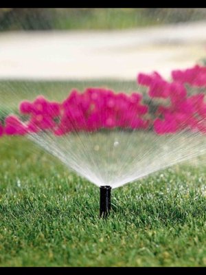 Rainbird Sprinkler Systems - We are Rainbird irrigation Experts with over 35 years of experience. A automatic system sprinkler system allows you flexibility of setting a customized watering schedule. Biggest advantage is not having to drag hoses around the yard. Let our team design a system for your Lawn and Landscape. Rainbird Sprinkler Systems - We are Rainbird irrigation Experts with over 35 years of experience. A automatic system sprinkler system allows you flexibility of setting a customized watering schedule. Biggest advantage is not having to drag hoses around the yard. Let our team design a system for your Lawn and Landscape.