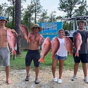 Offshore Reef Full Day Trips - D.I. Reef Monster fishes the extensive reef systems that the Alabama Gulf Coast has to offer. A full day trip gives an opportunity to fish longer and broaden the range of the trip if you so choose.

For the more experienced anglers, we will give you the option to fish with or without the assistance of a deckhand. In some instances, the customer may influence what we are targeting for the day. We have an abundance of fishing equipment and tackle available for your use but do allow the more experienced anglers to bring a limited amount of their personal equipment (please contact for this option).

OFFSHORE REEF/ SKILLED EXTENDED TRIP:
Same as listed above with the addition of Wahoo, Mahi-Mahi, Tuna, Tile, and a wider range of Grouper.

FULL DAY
$2200
We leave from Dauphin Island Marina or pick up at Fort Morgan.

Licenses, bait, ice, and bottled waters are supplied.
Trips are available 7 days a week when weather permits.
6 customers are the legal limit for a trip.
