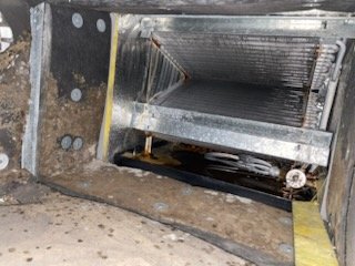 Air duct cleaning - We have taken a lot of photos in the years and its amazing what we find. Air duct cleaning - We have taken a lot of photos in the years and its amazing what we find.