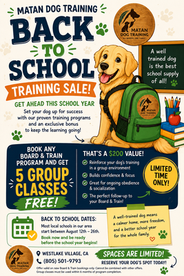 MDT Back-to-School Training Bundle: Board & Train + 5 Free Group Classes - Enroll in any Board & Train Program and receive:


5 FREE Group Classes!


(A $200 Value!)


Continue building on your dog's success after they go home with structured group classes that reinforce obedience, improve public neutrality, and strengthen your handling skills.





Why Go Back to School?


✔ A new school year is the perfect time for a fresh start.



✔ Establish good habits before bad ones become routine.



✔ Build confidence and good manners that last all year.



✔ Give your dog the skills to succeed at home and in public.



✔ Continue the learning after graduation with 5 FREE Group Classes.



✔ Because every good dog deserves an A+ in obedience!





Our Board & Train Programs Include


• Daily professional training



• Weekly one-on-one owner lessons



• Structured on-leash socialization, including pack walks and group obedience



• Public neutrality and confidence building



• Individualized training based on your dog's goals



• Lifetime support from our team



PLUS...


5 FREE Group Classes (Limited-Time Offer!)


Continue reinforcing your dog's training in a fun, structured group environment while strengthening your handling skills and keeping your dog's progress on track.