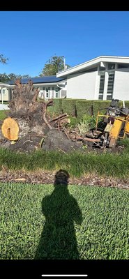 Stump grind job - We were called out for stump grinding job after a customer had a tree fall and uprooted itself. We were able to get the entire thing ground down level. The customer was happy with the service and the price. We were able to get this done in less than a couple of hours. Stump grind job - We were called out for stump grinding job after a customer had a tree fall and uprooted itself. We were able to get the entire thing ground down level. The customer was happy with the service and the price. We were able to get this done in less than a couple of hours.