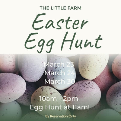 Easter Egg Hunt - 🌷Join us for our annual Easter Egg Hunts - March 23, March 24 & March 30🌷

🎟️Admission includes an Easter Basket to use for the Egg Hunt 🥚Pictures with the Easter Bunny 🐰 Photo Ops 📷 Animal Interactions 🐣 Pony Rides 🐴 Children’s Play Field ⚽️ Butterfly Garden 🦋 and Local Food Vendors🍦

$25.00 Ages 2-12
$15.00 Ages 13+

🐰Our Egg Hunt is by reservation only, with limited capacity per date. Tickets must be purchased in advance. Link with additional details can be found in our bio.🐰