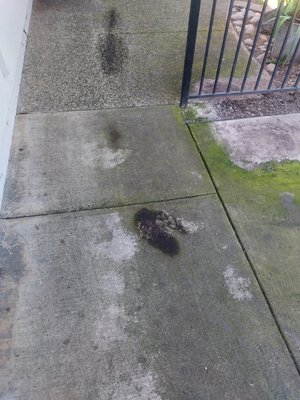 Driveway,patio,rv pad cleaning - This power wash job was completed in Acampo,Ca. After a rainy winter this homeowner  called on us to get there home ready for summer parties. We delivered with professional attitudes and competency in the work we provide. Customer happy that we took exceptional care to do the job correctly and in a timely manner.