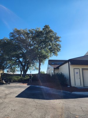 Fox Valley tree removal - Remove encroaching tree next to residence and making room for a nicer tree to grow. Fox Valley tree removal - Remove encroaching tree next to residence and making room for a nicer tree to grow.