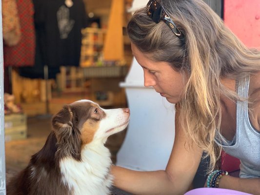 Animal Telepathic Communication - Animal Telepathic Communication by Veronica Gluecksmann - Barefoot Mama. It is possible and magical to connect with your animal to determine what they want to say! Welcome to this amazing world of animal telepathic communication. Find out what your fur baby is saying!