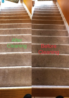 Book Now! - Reviving your home one clean at a time! Book Now! - Reviving your home one clean at a time!