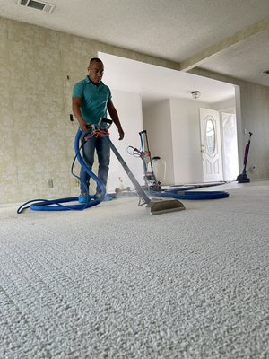 Deep Carpet Steam Cleaning - These are a few shots taken by our team members while they were steam cleaning carpet, and noticed some amazing results during the process. Deep Carpet Steam Cleaning - These are a few shots taken by our team members while they were steam cleaning carpet, and noticed some amazing results during the process.