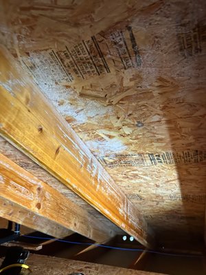 Attic Mold Remediation - This attic had a microbial issue. We were called out by the homeowner who was on a tight timeline to get this done due to him selling the home. We got in the next day and performed a full mold remediation to the IICRC standards on the attic and made it safe and new again! Attic Mold Remediation - This attic had a microbial issue. We were called out by the homeowner who was on a tight timeline to get this done due to him selling the home. We got in the next day and performed a full mold remediation to the IICRC standards on the attic and made it safe and new again!