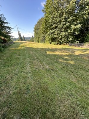 Large yard cut  - We take on large yards tall or short grass  Large yard cut  - We take on large yards tall or short grass 