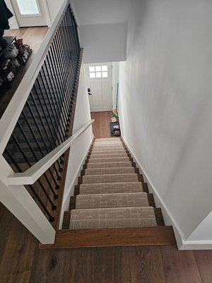 Staircase - Modern Carpet on Stairs Staircase - Modern Carpet on Stairs