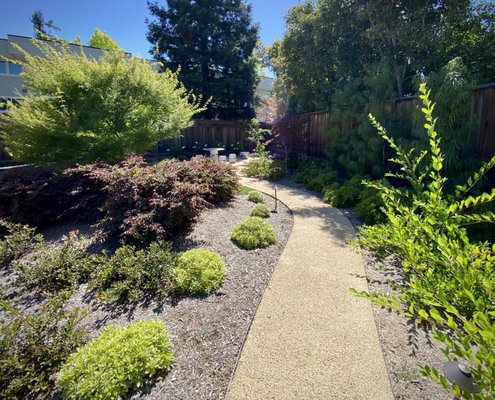 Zen-Inspired Garden Retreat - This garden was designed for a client who wanted a drought-tolerant, low-maintenance landscape inspired by the peaceful, natural character of Japanese gardens. Curving pathways lead throughout the property, creating a sense of discovery and giving her grandchildren plenty of opportunities to explore and enjoy the entire outdoor space.
A large paver patio was included to provide an open, comfortable area where the client could practice tai chi, relax, and spend time outdoors. The patio connects naturally with the surrounding pathways and offers views across the garden.
A dry creek bed was incorporated as both a functional drainage solution and an attractive landscape feature. It helps direct water through the property while creating the appearance of a natural stream winding through the garden. Carefully placed boulders, river rock, groundcovers, ornamental grasses, and layered plantings soften the space and connect the different garden areas.
Evergreen trees and shrubs provide structure, privacy, and year-round interest, while seasonal foliage and contrasting textures add color and variety without requiring constant upkeep. The finished landscape is peaceful, practical, and welcoming—a garden designed for movement, exploration, relaxation, and year-round enjoyment. Zen-Inspired Garden Retreat - This garden was designed for a client who wanted a drought-tolerant, low-maintenance landscape inspired by the peaceful, natural character of Japanese gardens. Curving pathways lead throughout the property, creating a sense of discovery and giving her grandchildren plenty of opportunities to explore and enjoy the entire outdoor space.
A large paver patio was included to provide an open, comfortable area where the client could practice tai chi, relax, and spend time outdoors. The patio connects naturally with the surrounding pathways and offers views across the garden.
A dry creek bed was incorporated as both a functional drainage solution and an attractive landscape feature. It helps direct water through the property while creating the appearance of a natural stream winding through the garden. Carefully placed boulders, river rock, groundcovers, ornamental grasses, and layered plantings soften the space and connect the different garden areas.
Evergreen trees and shrubs provide structure, privacy, and year-round interest, while seasonal foliage and contrasting textures add color and variety without requiring constant upkeep. The finished landscape is peaceful, practical, and welcoming—a garden designed for movement, exploration, relaxation, and year-round enjoyment.