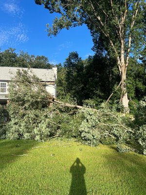 Tree Loss - From high winds and a lot of storming for days we had a call from a previous customer from a tree that fell on their house Tree Loss - From high winds and a lot of storming for days we had a call from a previous customer from a tree that fell on their house