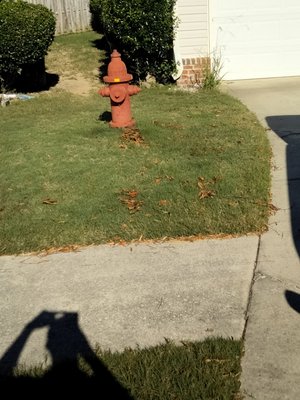 first time clean up on a property that hasn't been service in 3 months - customer wanted the first time clean up one of her Paradise back to her view so we went with her needs and we maximized everything we could she was very happy and satisfied customer is on schedule every Tues bi weekly first time clean up on a property that hasn't been service in 3 months - customer wanted the first time clean up one of her Paradise back to her view so we went with her needs and we maximized everything we could she was very happy and satisfied customer is on schedule every Tues bi weekly