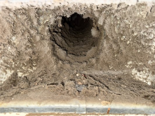 Air ducts and dryer vents - At C&J Services 2 LLC, we provide professional air duct and dryer vent cleaning to improve your home’s air quality, efficiency, and safety. As a local small business since 1999, we pride ourselves on honest pricing, no hidden fees, and top-quality service.
Our thorough cleaning removes dust, allergens, pet dander, and debris from your duct system while helping your HVAC system run more efficiently. Dryer vent cleaning reduces fire risk, improves drying time, and can help lower energy costs.
✔ Improves indoor air quality
✔ Helps reduce energy bills (5–15%)
✔ Removes dust, debris & allergens
✔ Reduces fire hazards from clogged dryer vents
✔ Friendly, experienced technicians
We use professional equipment and take the time to do the job right the first time. Your satisfaction is our priority. Air ducts and dryer vents - At C&J Services 2 LLC, we provide professional air duct and dryer vent cleaning to improve your home’s air quality, efficiency, and safety. As a local small business since 1999, we pride ourselves on honest pricing, no hidden fees, and top-quality service.
Our thorough cleaning removes dust, allergens, pet dander, and debris from your duct system while helping your HVAC system run more efficiently. Dryer vent cleaning reduces fire risk, improves drying time, and can help lower energy costs.
✔ Improves indoor air quality
✔ Helps reduce energy bills (5–15%)
✔ Removes dust, debris & allergens
✔ Reduces fire hazards from clogged dryer vents
✔ Friendly, experienced technicians
We use professional equipment and take the time to do the job right the first time. Your satisfaction is our priority.