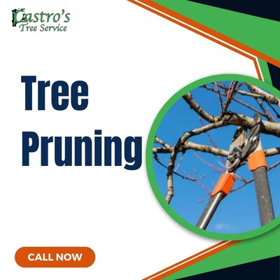 Call now to get an estimate on your tree pruning needs! - Call now to get an estimate on your tree pruning needs! Call now to get an estimate on your tree pruning needs! - Call now to get an estimate on your tree pruning needs!