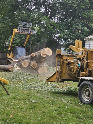 Expert Tree Removal Services - At Phillips Tree Service, safe and efficient tree removal is our specialty. With years of hands on experience, our team personally inspects every project and leads a skilled team, ensuring that hazardous, unwanted, or storm damaged trees are taken down without risk to your property or landscape. Our customers trust us for our professionalism, precision, and commitment to leaving your yard clean, tidy and safe every time. Expert Tree Removal Services - At Phillips Tree Service, safe and efficient tree removal is our specialty. With years of hands on experience, our team personally inspects every project and leads a skilled team, ensuring that hazardous, unwanted, or storm damaged trees are taken down without risk to your property or landscape. Our customers trust us for our professionalism, precision, and commitment to leaving your yard clean, tidy and safe every time.