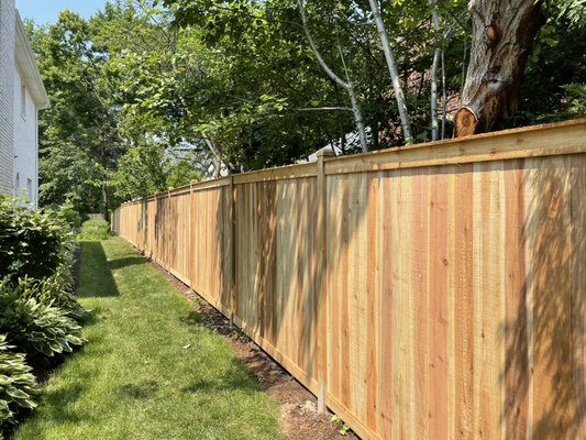 Traditional - New traditional fence with aluminum in front of home.