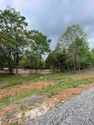 0 Heritage Ln Twin Groves, AR 72039 - Excellent proposed one acre lots just a stone's throw away from Hillbrook Farms wedding venue! Property is 8 minutes from Greenbrier and 24 minutes from Conway ensuring a wide range of amenities within a short drive. Gas, water, electricity readily available. Damascus water, Petit Jean Electric, Summit Gas. See proposed sketch for clarification. This lot is highlighted Pink on the sketch. Agents see remarks. 0 Heritage Ln Twin Groves, AR 72039 - Excellent proposed one acre lots just a stone's throw away from Hillbrook Farms wedding venue! Property is 8 minutes from Greenbrier and 24 minutes from Conway ensuring a wide range of amenities within a short drive. Gas, water, electricity readily available. Damascus water, Petit Jean Electric, Summit Gas. See proposed sketch for clarification. This lot is highlighted Pink on the sketch. Agents see remarks.