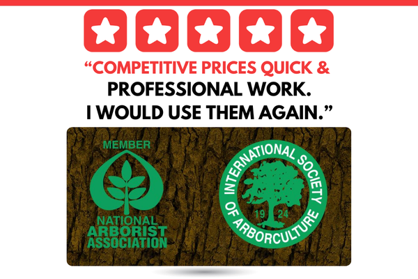"Competitive prices, quick & professional work." - Full Review:

I had GCTS remove trees from two properties. Competitive prices, quick & professional work. Insurance verified. I would use them again. -Eli, Thousand Oaks Jan 21, 2018