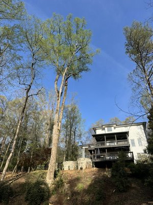 Mr. Brooks in Athens, GA - We were referred to the Brooks family after they had multiple companies walk away away from tackling this project!
When experience matters, call Cowart Tree Service LLC! Mr. Brooks in Athens, GA - We were referred to the Brooks family after they had multiple companies walk away away from tackling this project!
When experience matters, call Cowart Tree Service LLC!