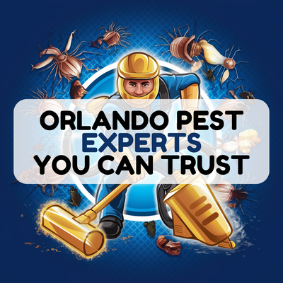 2022 June: #cockroachextermination by #wedgewoodpestcontrol in #orlandofl - Wedgewood Pest Control delivered a thorough and effective cockroach extermination service in Orlando. 2022 June: #cockroachextermination by #wedgewoodpestcontrol in #orlandofl - Wedgewood Pest Control delivered a thorough and effective cockroach extermination service in Orlando.