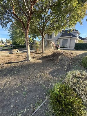 Granite Bay - In this beautiful Granite Bay property, we completely transformed the front yard from a bare, uneven landscape into a stunning, low-maintenance artificial turf lawn. The project began with full excavation and grading to remove old soil, roots, and debris, followed by precise preparation of the base layer for proper drainage and long-term durability.
Our team then installed premium artificial turf to create a lush, natural look that enhances the home’s curb appeal while saving water and reducing maintenance. The final result is a clean, vibrant, and elegant front yard that complements the home’s architecture and provides a fresh, inviting appearance year-round. Granite Bay - In this beautiful Granite Bay property, we completely transformed the front yard from a bare, uneven landscape into a stunning, low-maintenance artificial turf lawn. The project began with full excavation and grading to remove old soil, roots, and debris, followed by precise preparation of the base layer for proper drainage and long-term durability.
Our team then installed premium artificial turf to create a lush, natural look that enhances the home’s curb appeal while saving water and reducing maintenance. The final result is a clean, vibrant, and elegant front yard that complements the home’s architecture and provides a fresh, inviting appearance year-round.