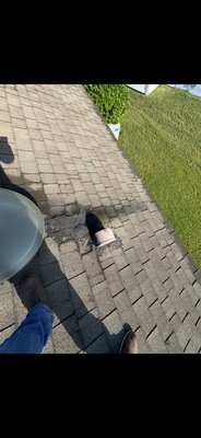 Skylight repair - Leaks around skylights often come from improper sealing or old flashing. In this case, we found a cracked, outdated plastic skylight and exposed nails letting water in. We repaired the decking, installed new underlayment, new shingles and properly installed and replaced the skylight to ensure lasting protection.
At Pier Roofing, we don’t just patch — we identify the cause and fix it the right way. Quality craftsmanship, local service, guaranteed peace of mind. Skylight repair - Leaks around skylights often come from improper sealing or old flashing. In this case, we found a cracked, outdated plastic skylight and exposed nails letting water in. We repaired the decking, installed new underlayment, new shingles and properly installed and replaced the skylight to ensure lasting protection.
At Pier Roofing, we don’t just patch — we identify the cause and fix it the right way. Quality craftsmanship, local service, guaranteed peace of mind.