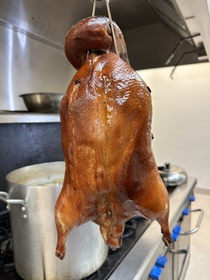 Bento Duck or Catered Duck! - Our Daily roasted Peking Duck by over 30+ years chef of 5 star hotel in Beijing and Shanghai.
Classic Peking Duck meat wraps(sliced boneless duck meat, shredded cucumber, Chinese Scallions, house made black soy bean sauce ) Bento Duck or Catered Duck! - Our Daily roasted Peking Duck by over 30+ years chef of 5 star hotel in Beijing and Shanghai.
Classic Peking Duck meat wraps(sliced boneless duck meat, shredded cucumber, Chinese Scallions, house made black soy bean sauce )